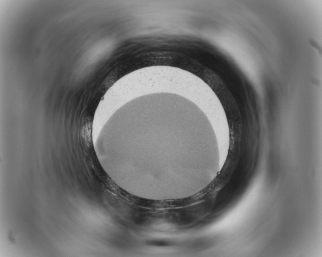 X0000097830190200804111048