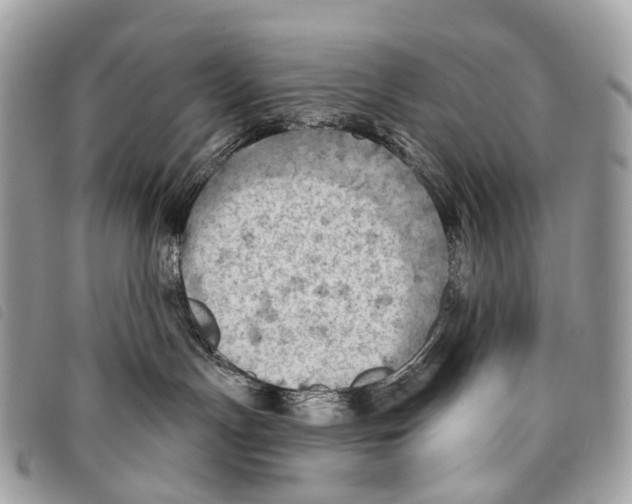 X0000097830191200804111048