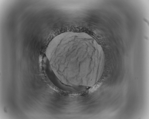 X0000097830192200804111048