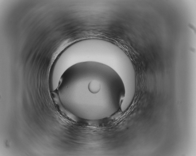 X0000097830195200804111047