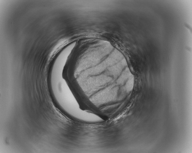 X0000097830197200804111047