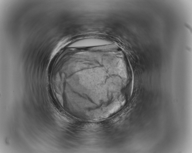 X0000097830198200804111047