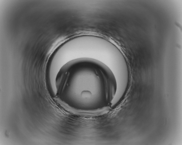 X0000097830199200804111047