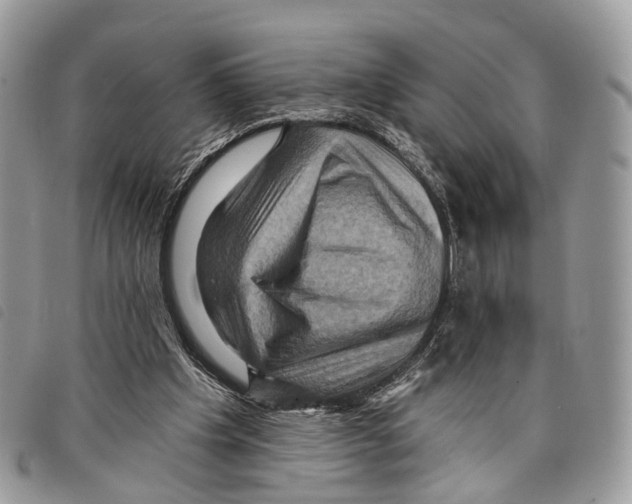 X0000097830201200804111047