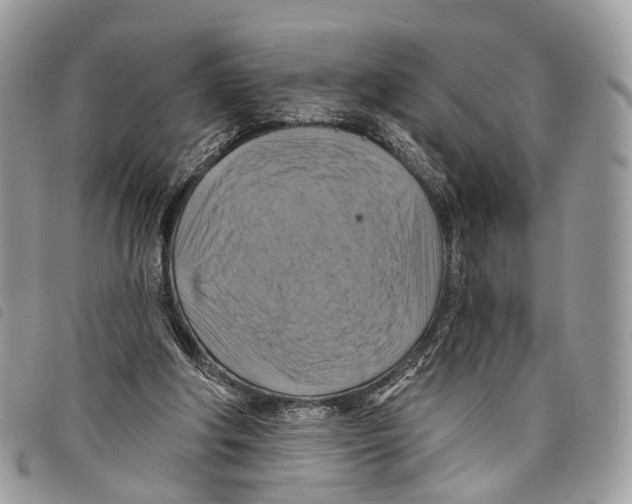 X0000097830202200804111047