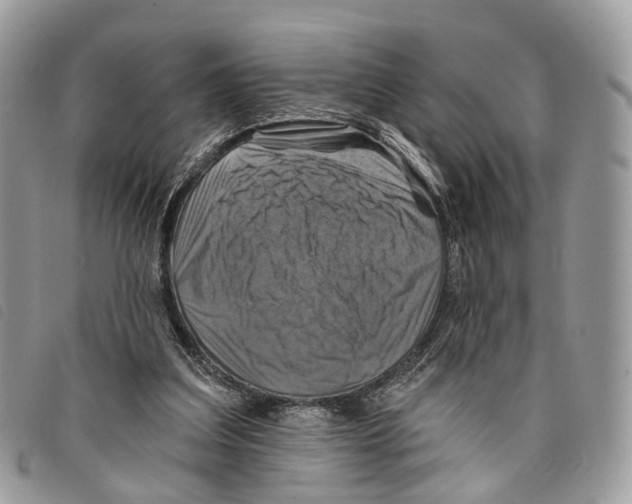 X0000097830203200804111047