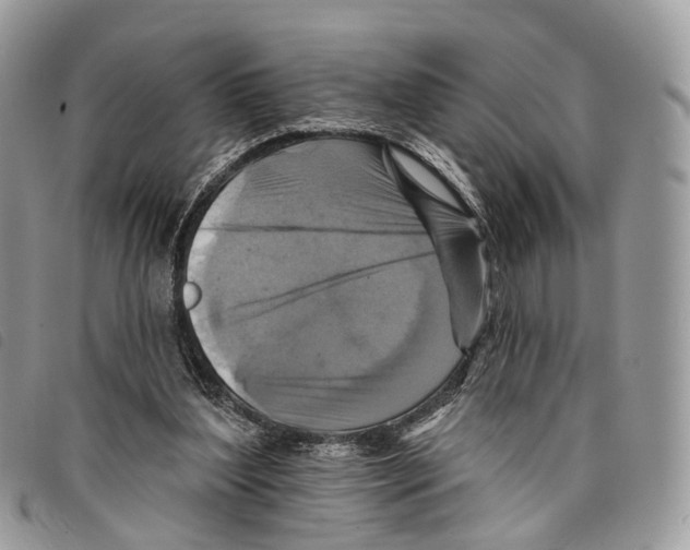 X0000097830204200804111047