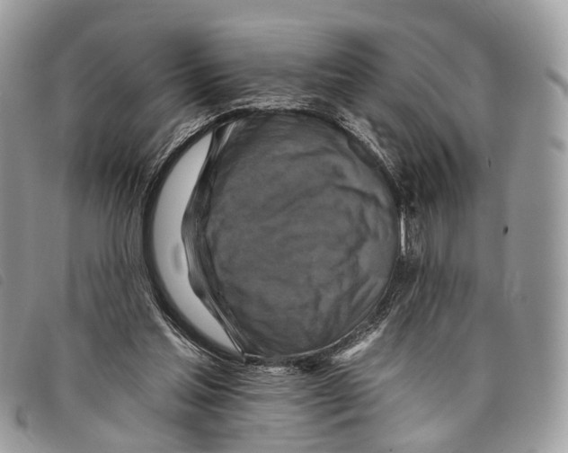 X0000097830205200804111047