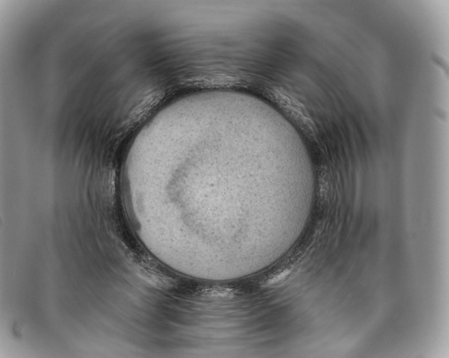 X0000097830206200804111047