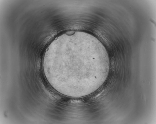 X0000097830208200804111047