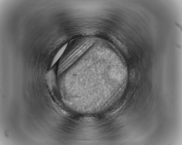 X0000097830209200804111047