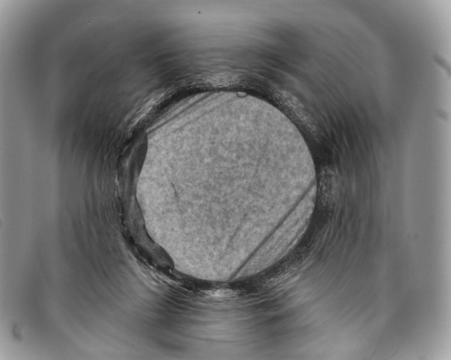 X0000097830212200804111047