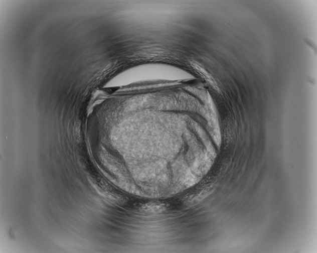 X0000097830213200804111047