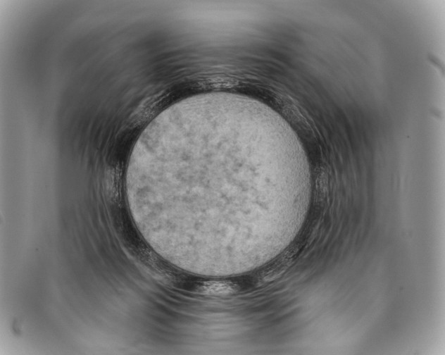 X0000097830218200804111047