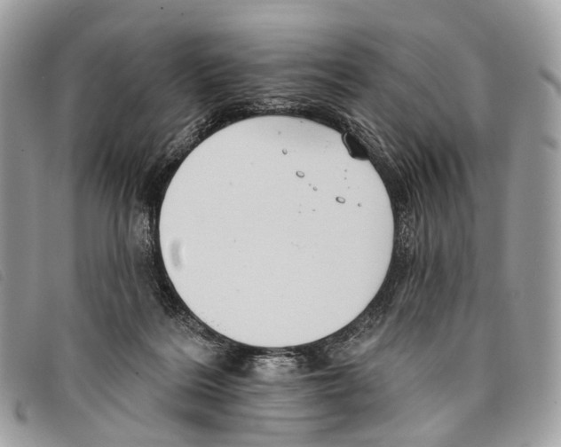 X0000097830220200804111047