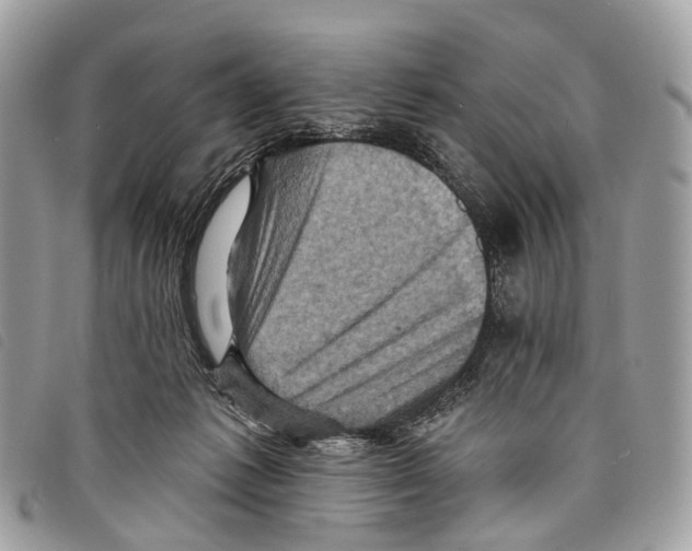 X0000097830221200804111047