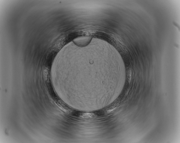 X0000097830222200804111047