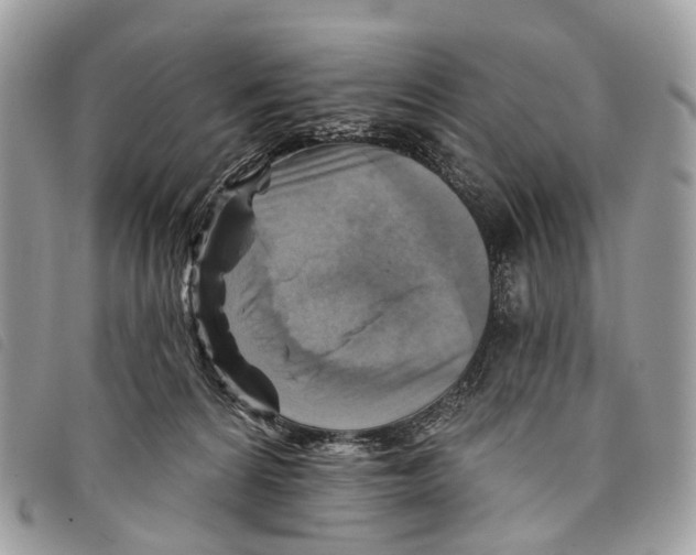 X0000097830224200804111047