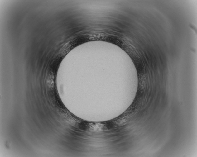 X0000097830226200804111047