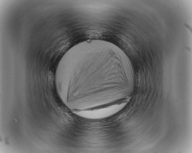 X0000097830228200804111047