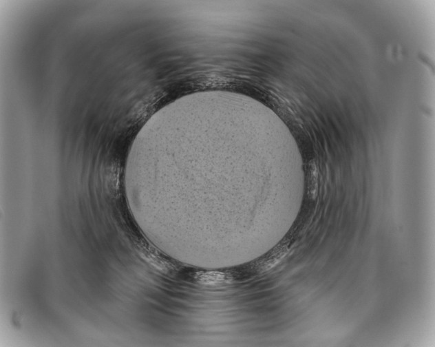 X0000097830230200804111047