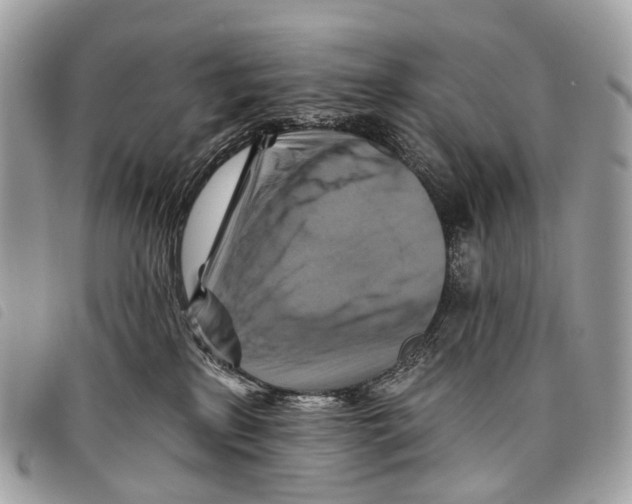 X0000097830233200804111047