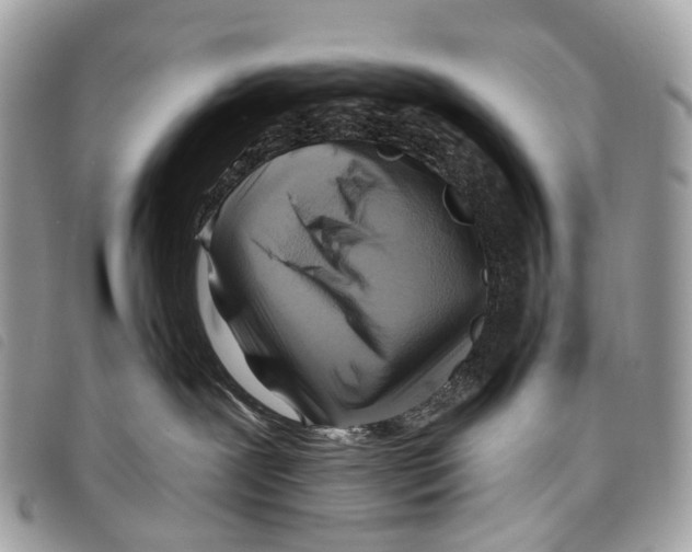 X0000097830239200804111047