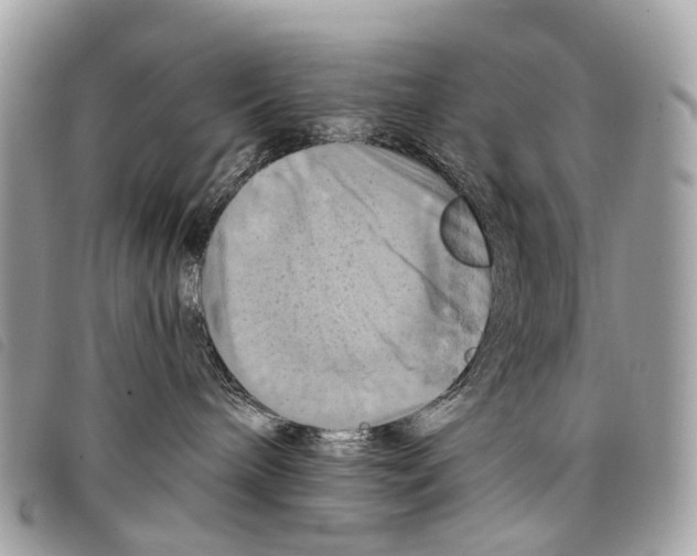 X0000097830240200804111047