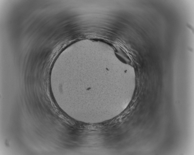 X0000097830241200804111046