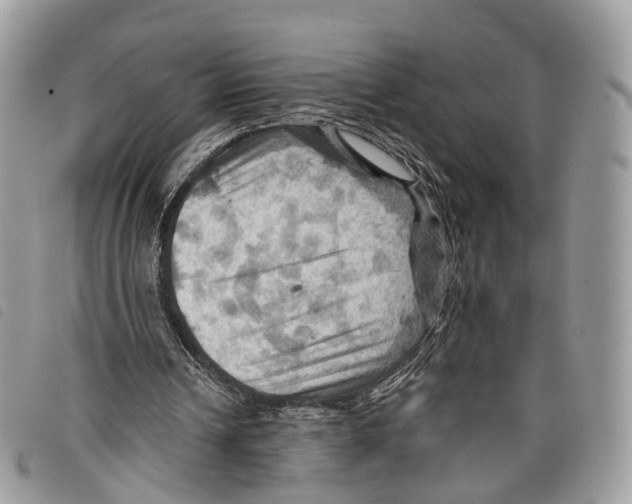 X0000097830242200804111046