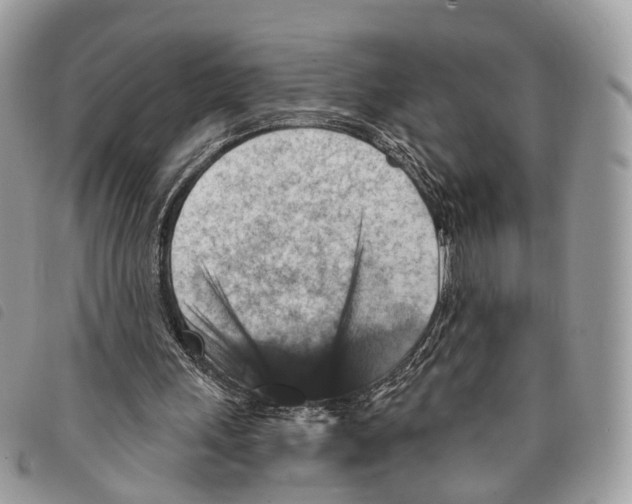 X0000097830243200804111046