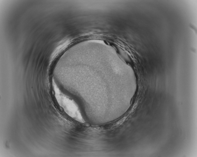 X0000097830245200804111046