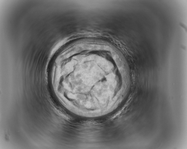 X0000097830246200804111046