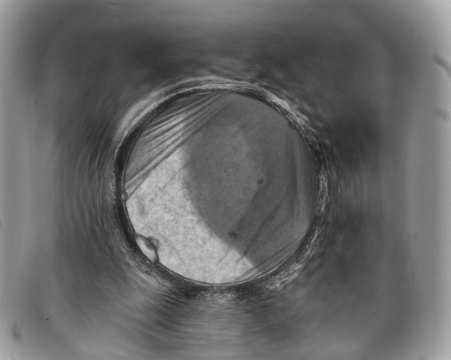 X0000097830247200804111046