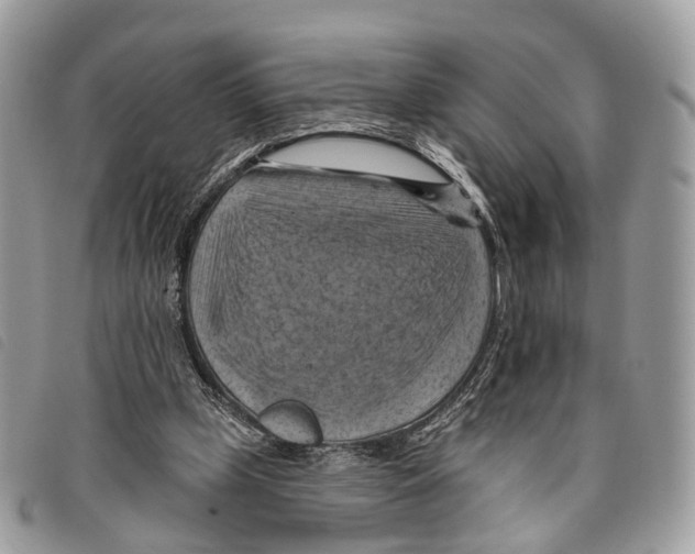 X0000097830249200804111046