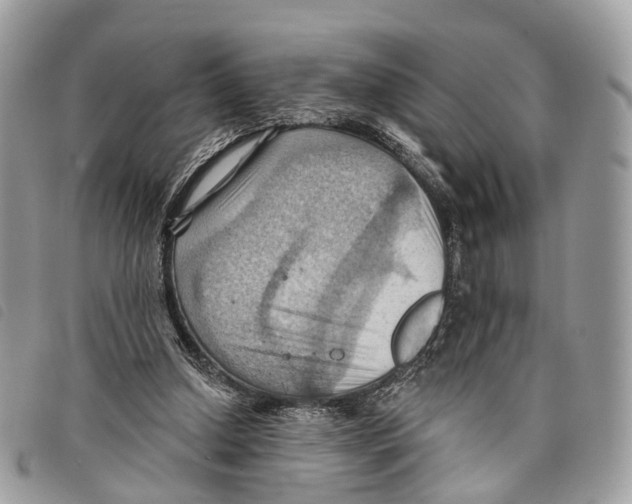 X0000097830250200804111046