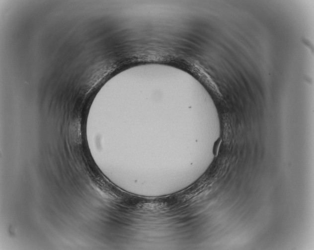 X0000097830251200804111046