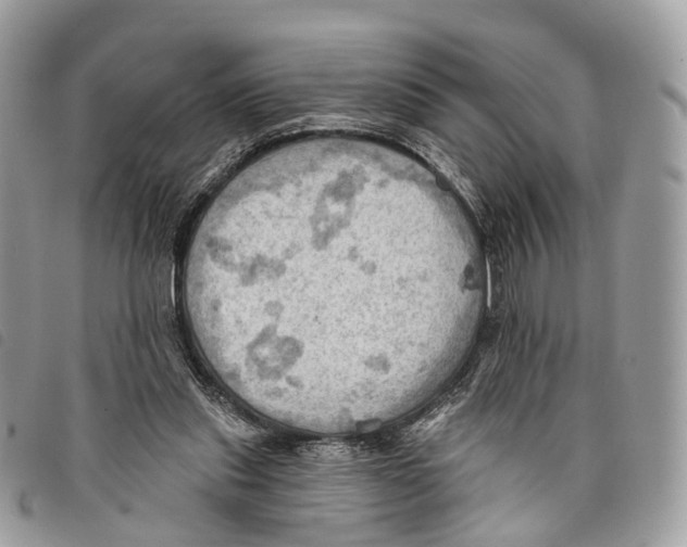 X0000097830253200804111046