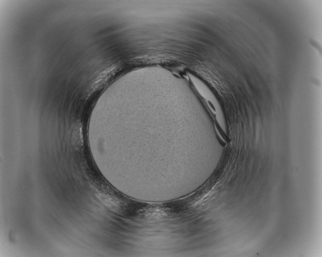 X0000097830254200804111046