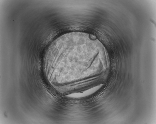 X0000097830255200804111046