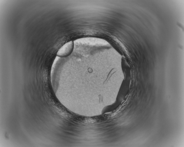 X0000097830257200804111046