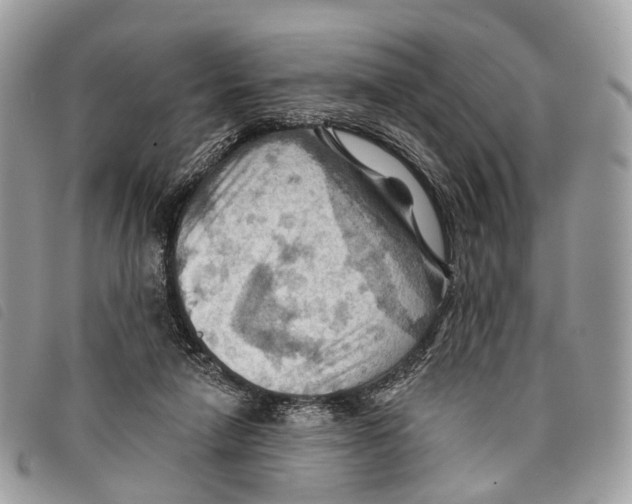 X0000097830258200804111046