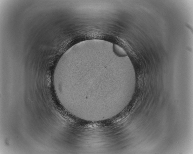 X0000097830259200804111046