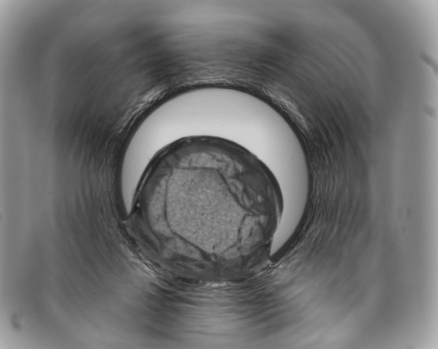 X0000097830260200804111046