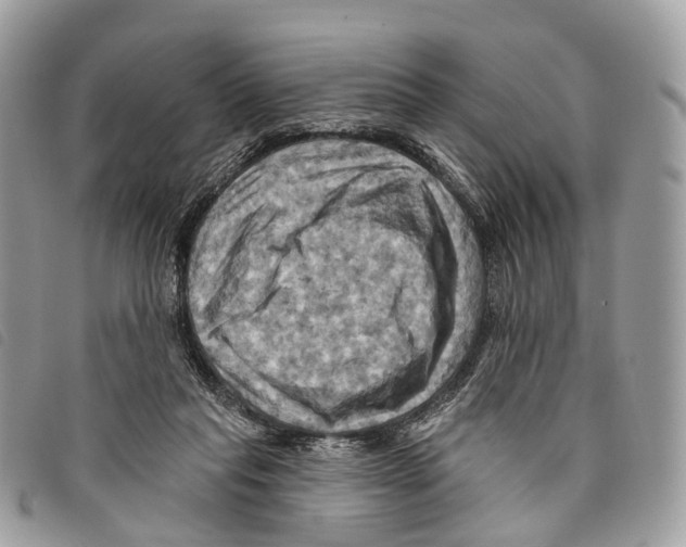 X0000097830261200804111046