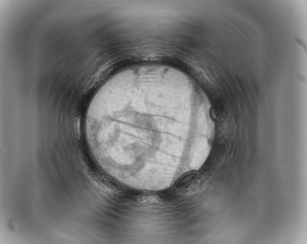 X0000097830262200804111046