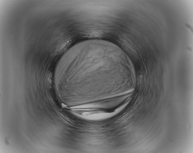 X0000097830264200804111046