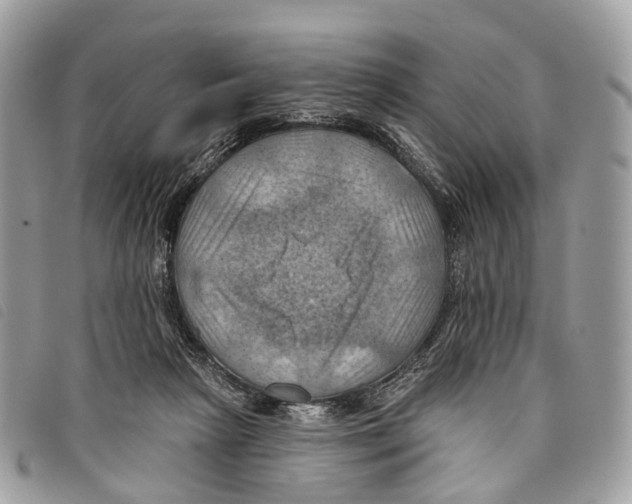 X0000097830265200804111046