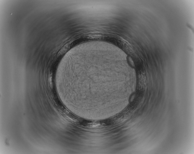 X0000097830267200804111046