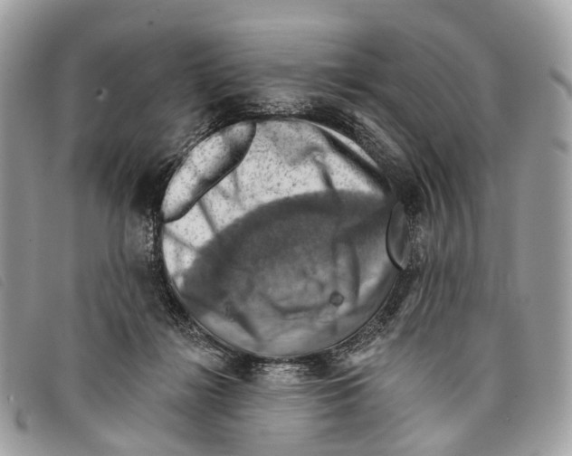 X0000097830268200804111046